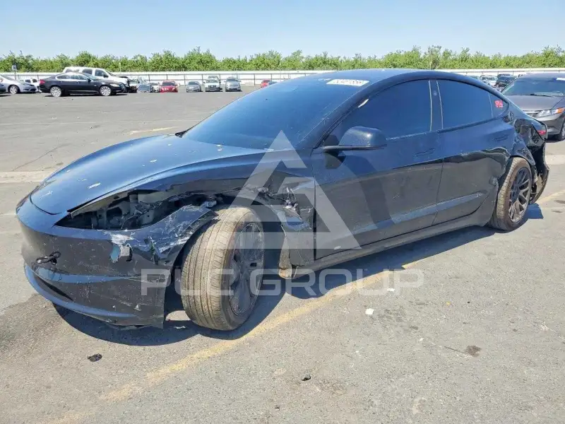 2025 Tesla Model 3 photo