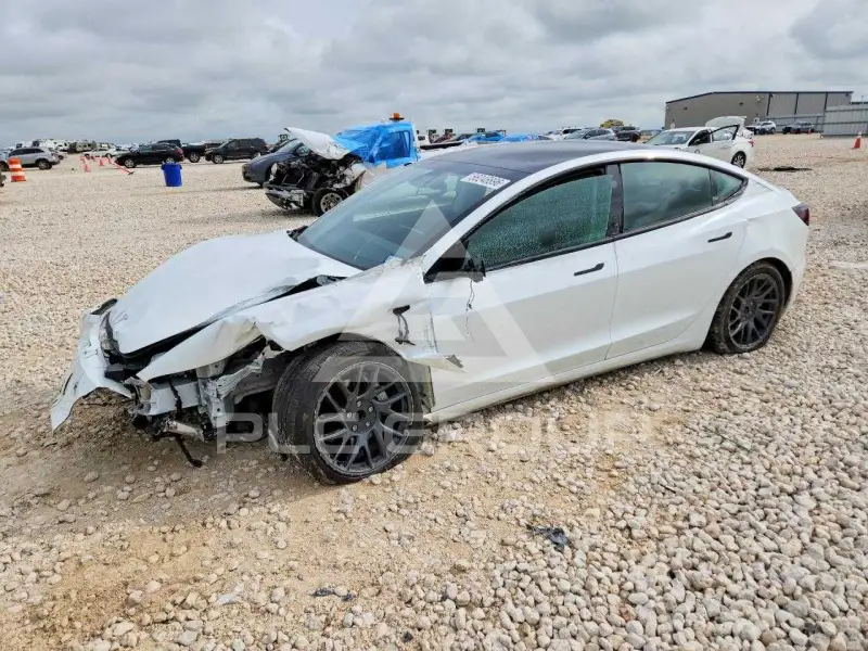2025 Tesla Model 3 фото