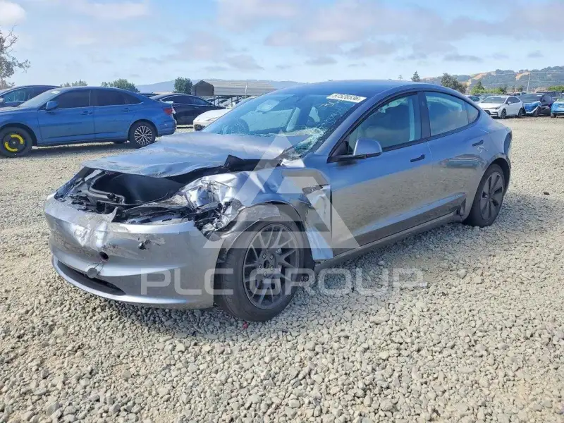 2025 Tesla Model 3 photo