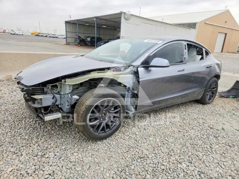 2025 Tesla Model 3 фото