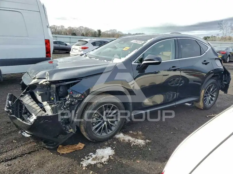 2025 Lexus NX250 фото