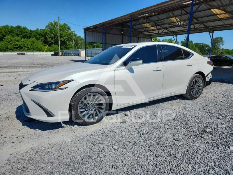 2025 Lexus ES300 photo
