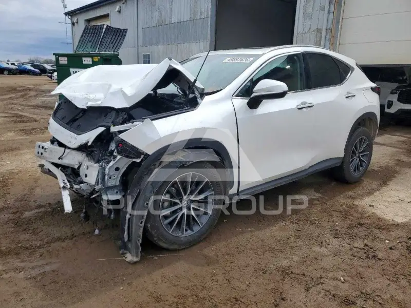 2025 Lexus NX фото