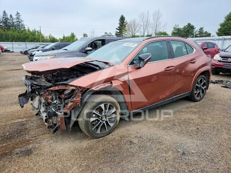 2025 Lexus UX фото