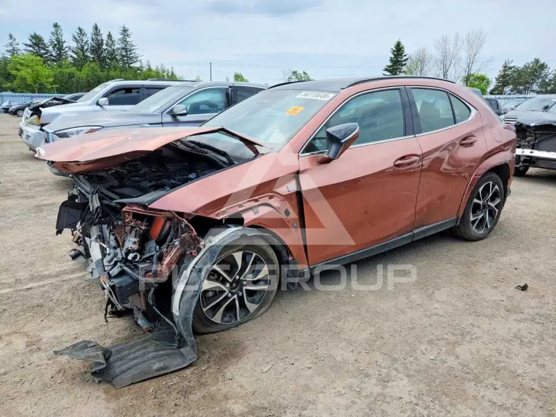 2025 Lexus Other фото