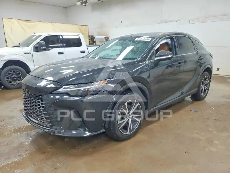 2025 Lexus RX300 photo