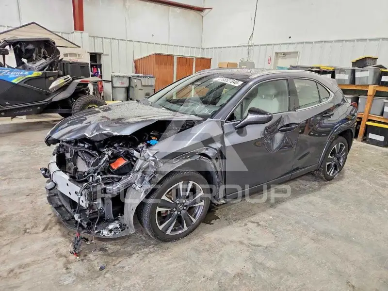 2025 Lexus  фото