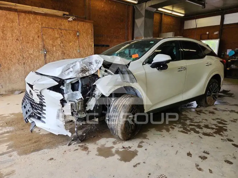 2025 Lexus  photo