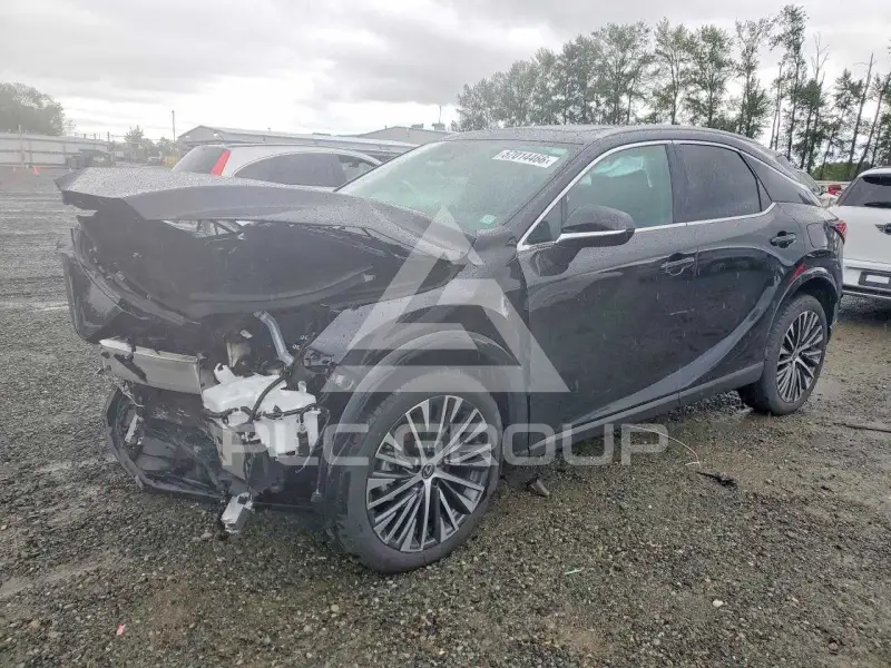 2025 Lexus  photo
