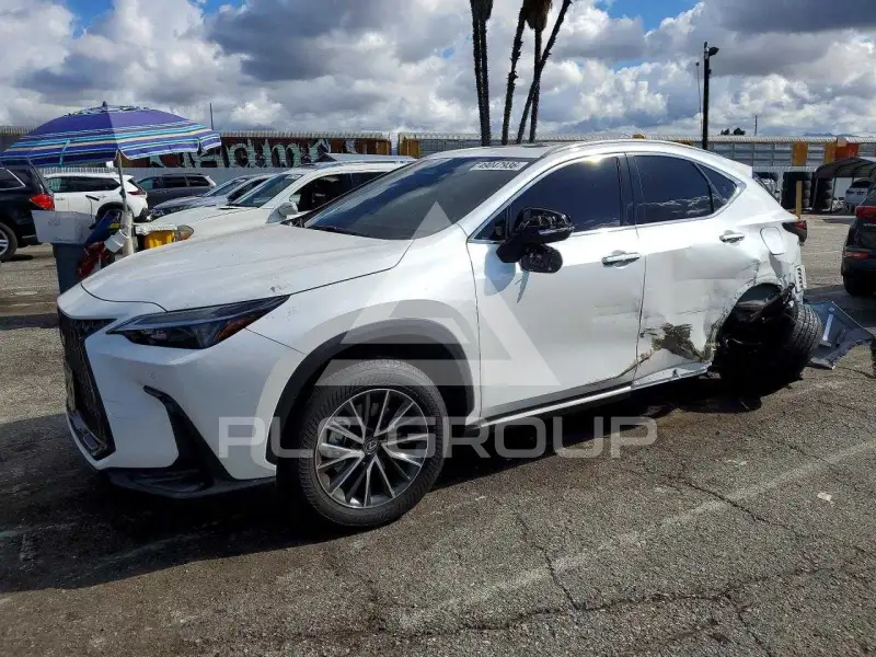 2025 Lexus  фото