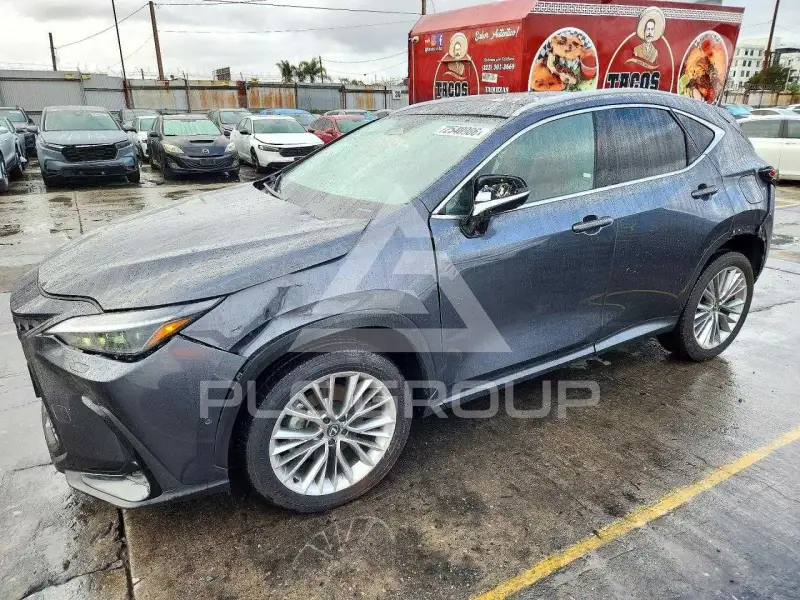 2025 Lexus NX фото