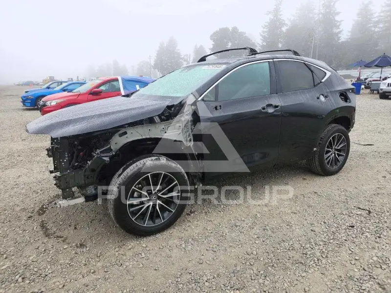 2025 Lexus NX photo