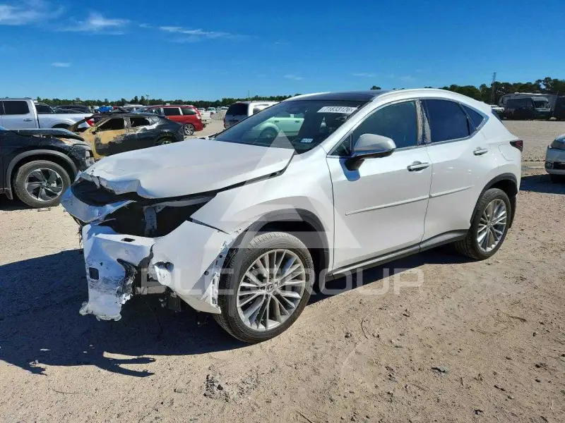 2025 Lexus NX фото