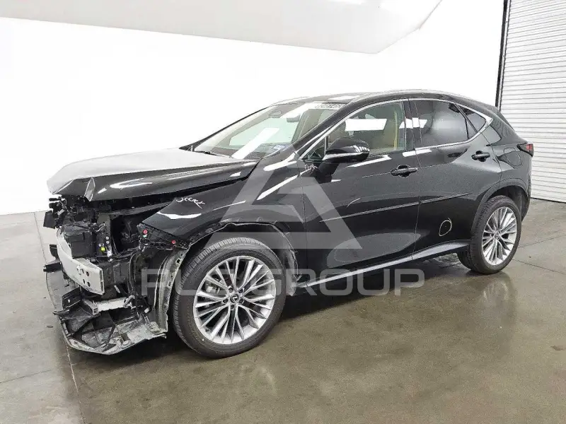 2025 Lexus NX photo