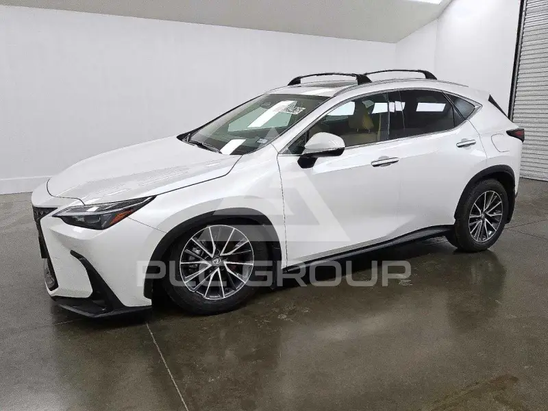 2025 Lexus NX photo