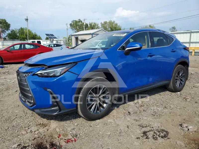 2025 Lexus NX фото