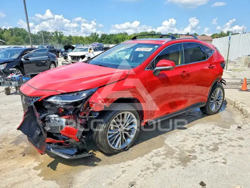 2025 Lexus NX photo