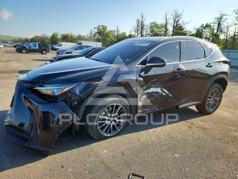 2025 Lexus NX фото