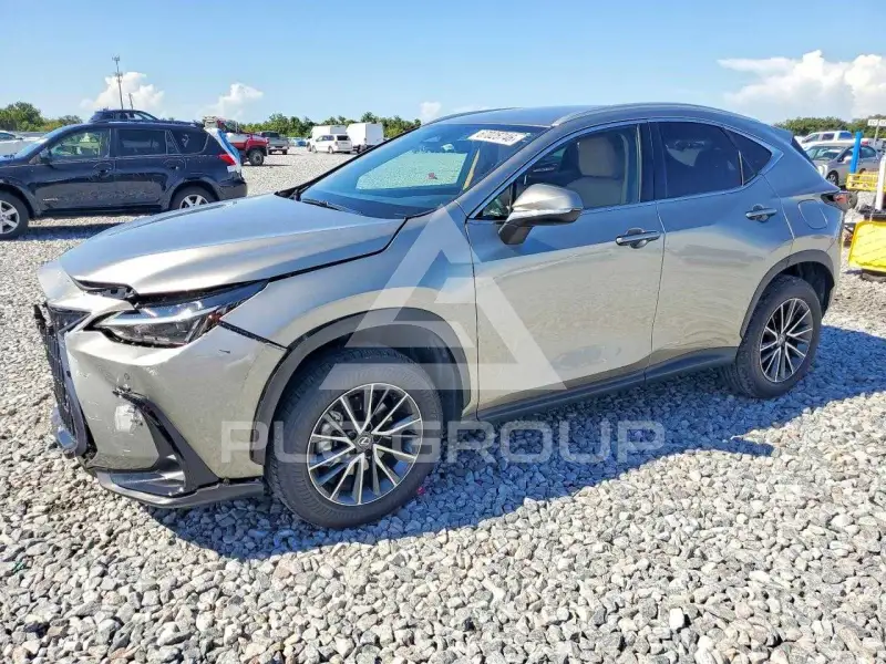2025 Lexus NX photo