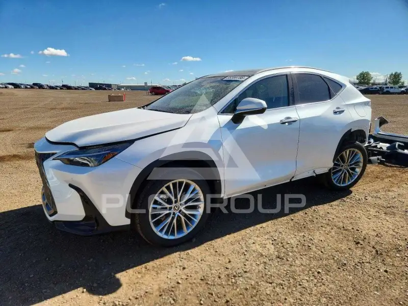 2025 Lexus NX фото