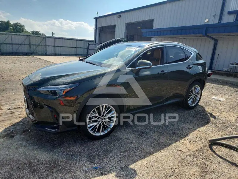 2025 Lexus NX фото