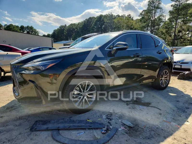 2025 Lexus NX фото