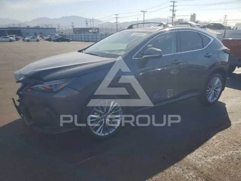 2025 Lexus NX photo