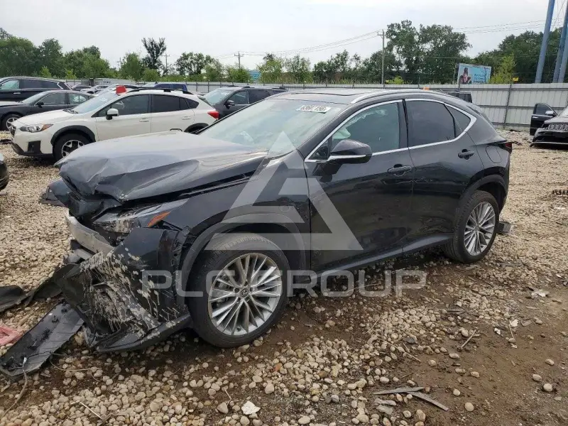 2025 Lexus NX photo