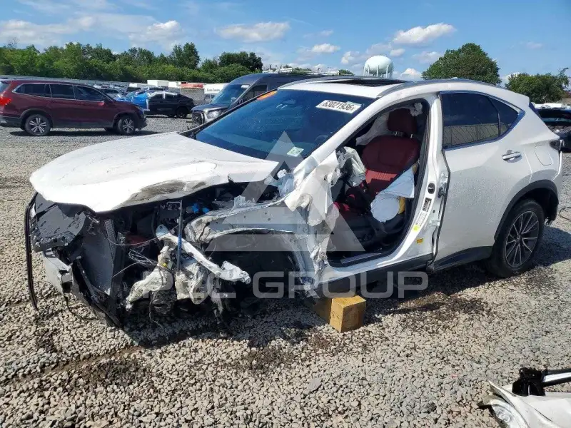2025 Lexus NX250 photo