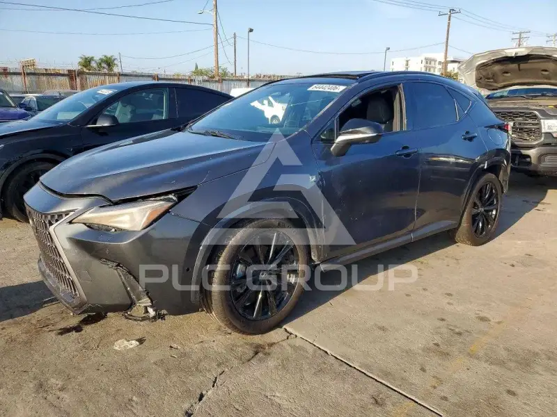 2025 Lexus NX photo
