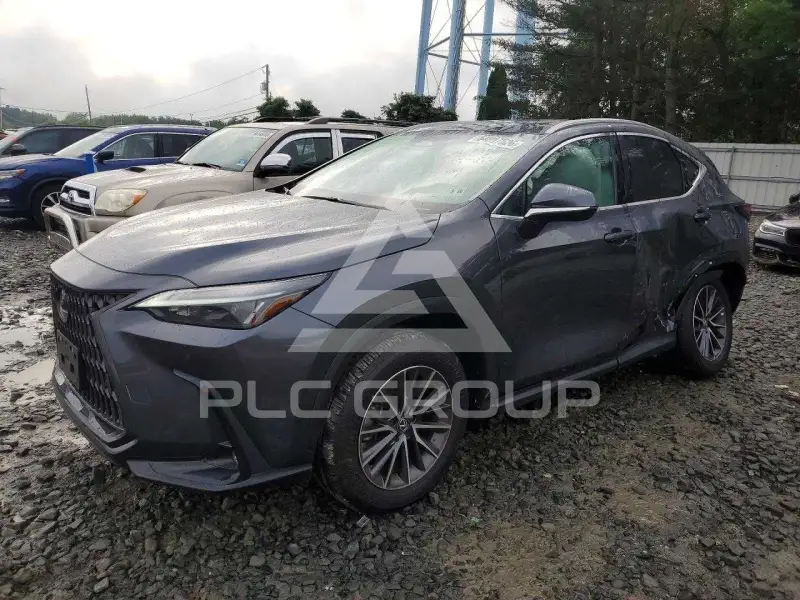2025 Lexus NX photo