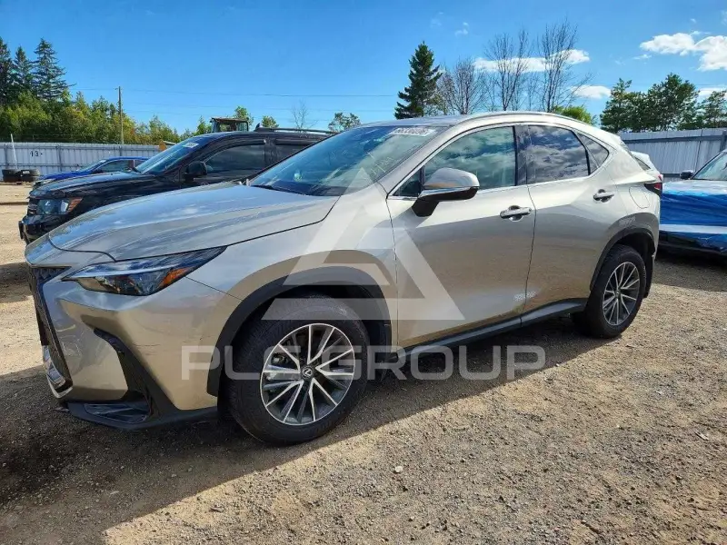 2025 Lexus NX фото
