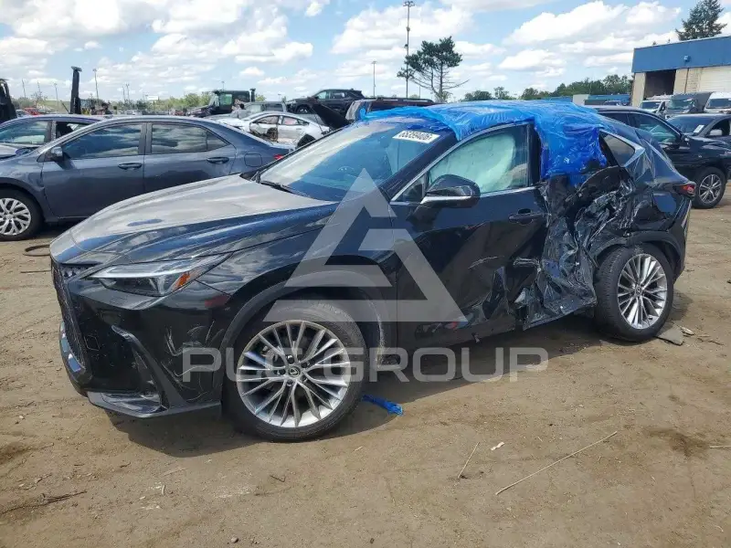 2025 Lexus NX photo
