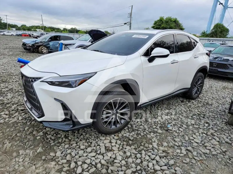 2025 Lexus NX фото