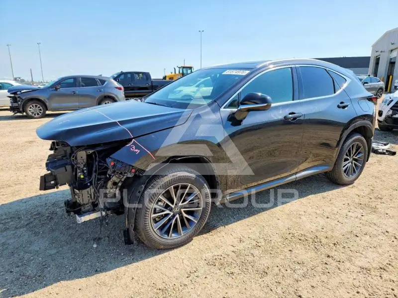 2025 Lexus NX photo