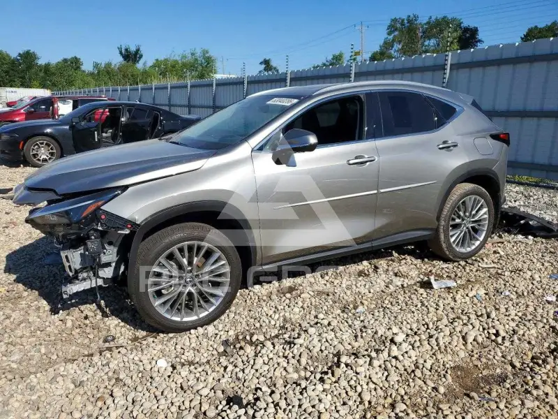 2025 Lexus NX фото