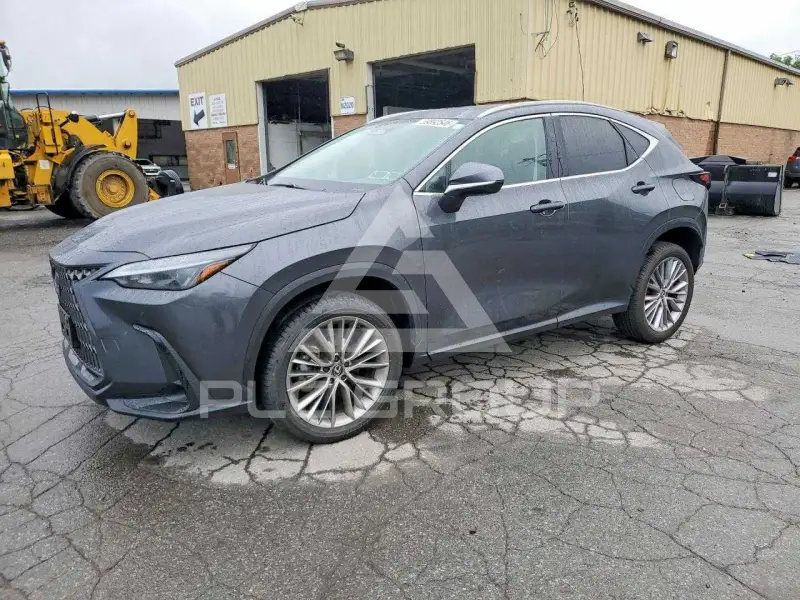 2025 Lexus NX фото