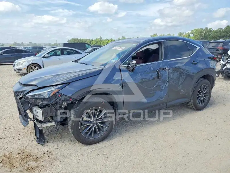 2025 Lexus NX250 photo