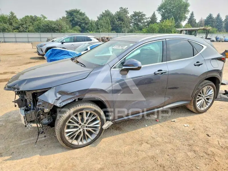 2025 Lexus NX фото