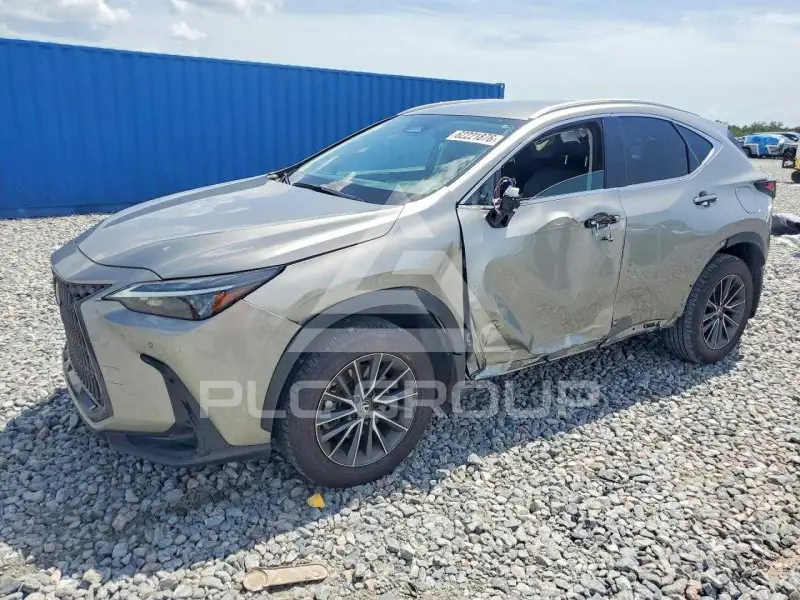 2025 Lexus NX фото