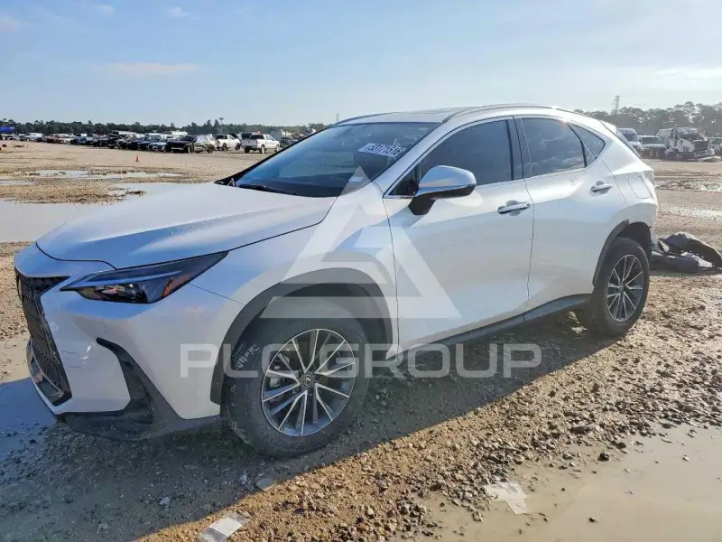 2025 Lexus NX photo