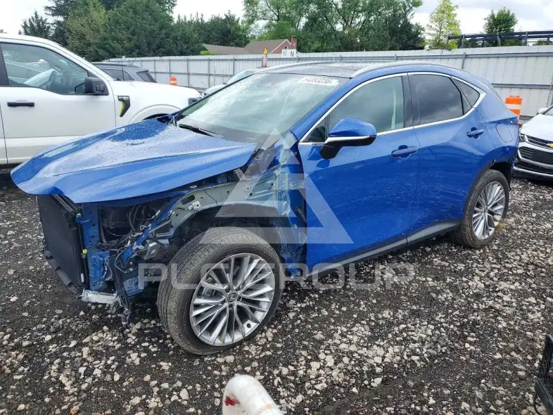 2025 Lexus NX250 фото