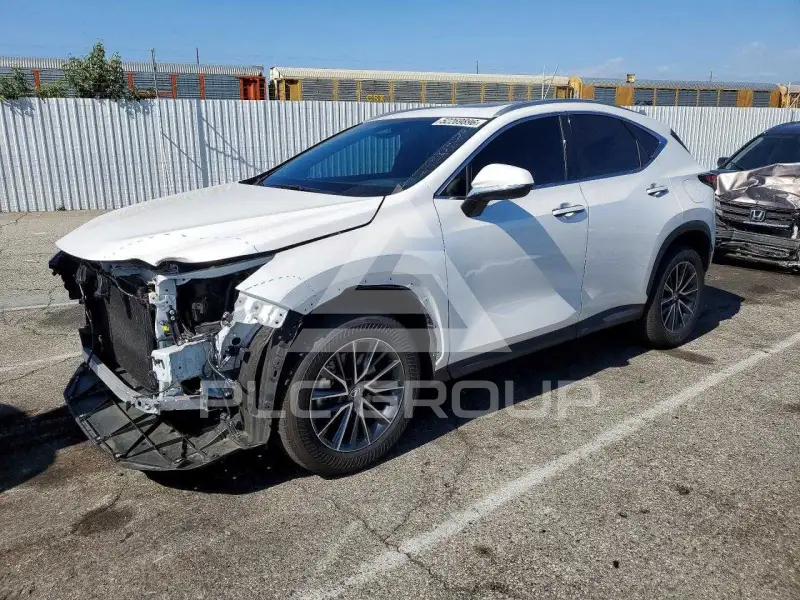 2025 Lexus NX photo