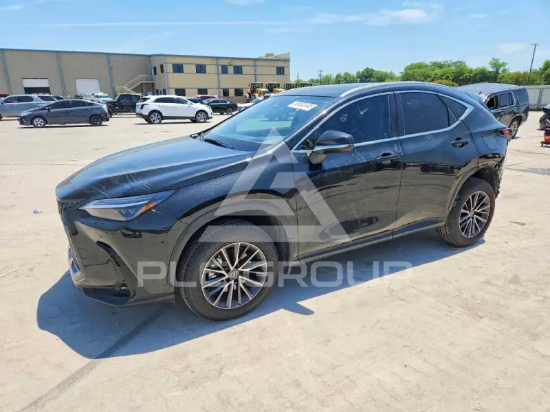 2025 Lexus NX фото