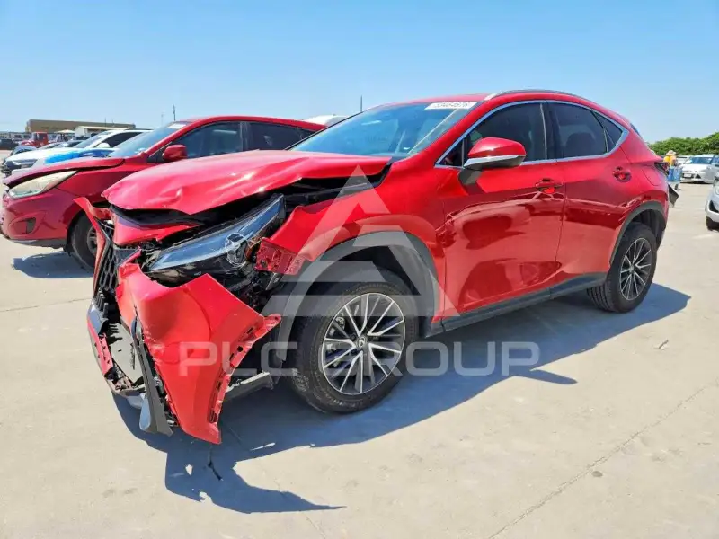 2025 Lexus NX250 фото