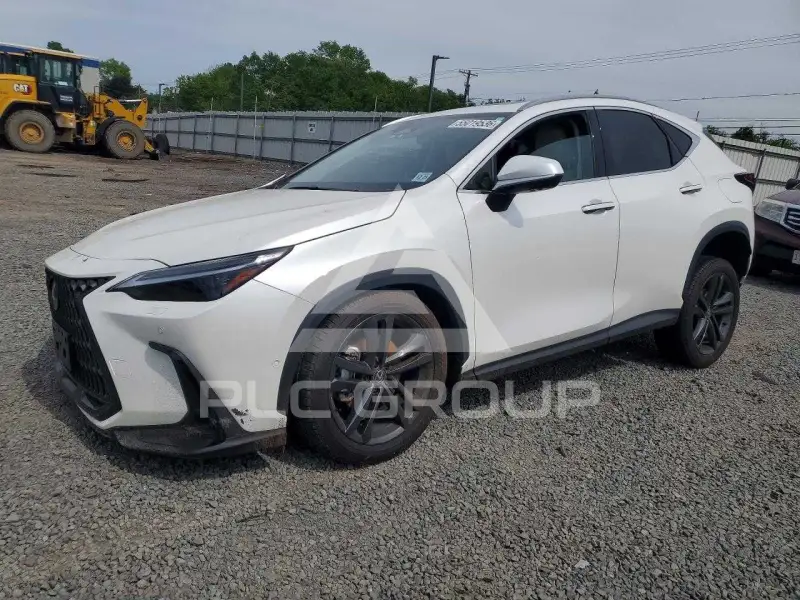 2025 Lexus NX фото