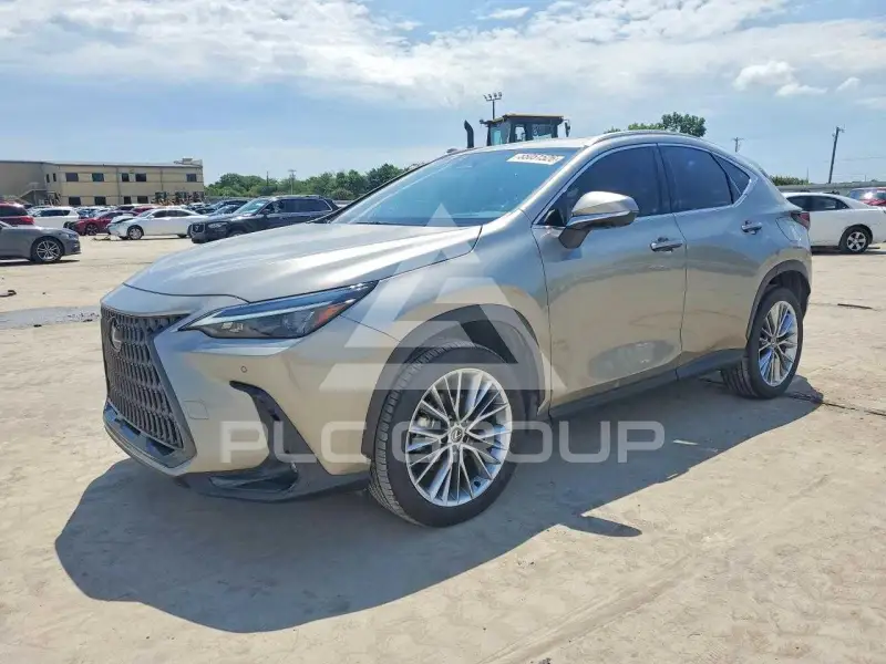 2025 Lexus NX250 фото