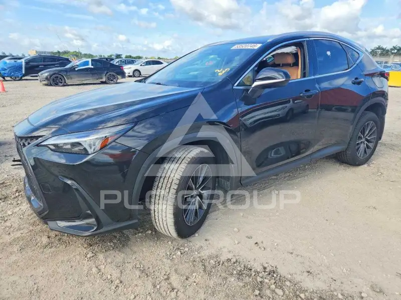 2025 Lexus NX фото