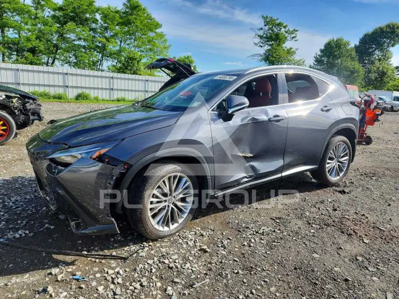 2025 Lexus NX250 фото