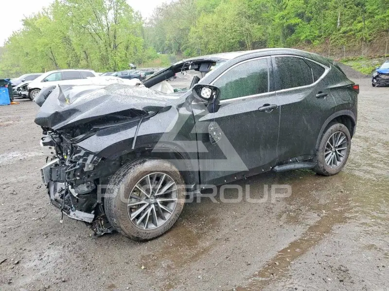 2025 Lexus NX250 photo